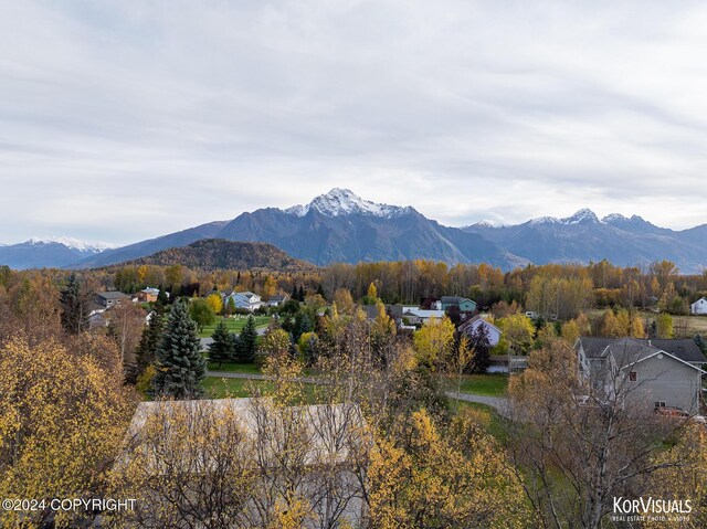 1115 S Jewel St, Palmer, AK 99645