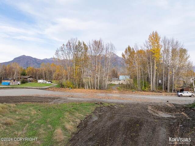 1115 S Jewel St, Palmer, AK 99645