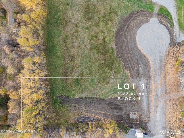 1115 S Jewel St, Palmer, AK 99645