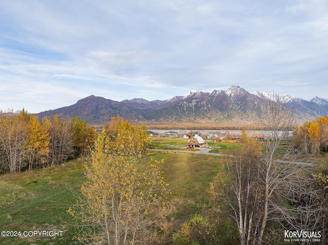 1115 S Jewel St, Palmer, AK 99645