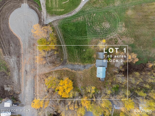 1115 S Jewel St, Palmer, AK 99645
