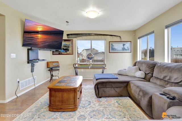 living room featuring a wealth of natural light and wood-type flooring