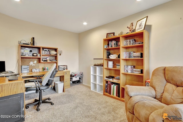 office area featuring carpet