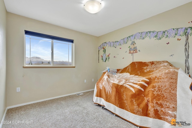 bedroom with carpet floors