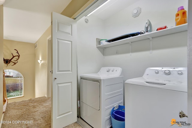 clothes washing area with carpet and independent washer and dryer