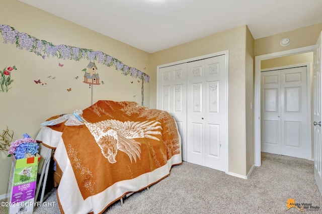 carpeted bedroom featuring a closet