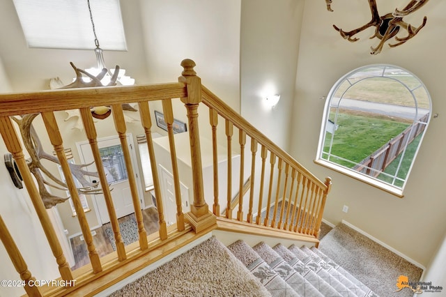 staircase featuring a towering ceiling, a chandelier, and carpet flooring