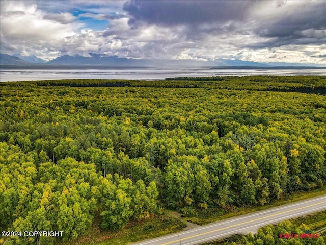 Listing photo 2 for 000 Knik Goose Bay Rd, Wasilla AK 99623