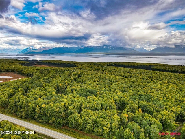 Listing photo 3 for 000 Knik Goose Bay Rd, Wasilla AK 99623