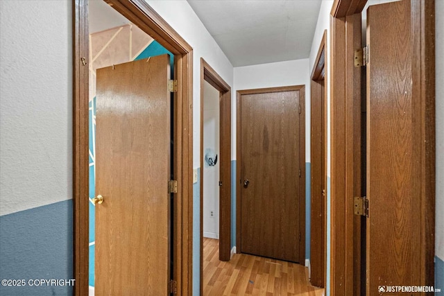 corridor with light wood-type flooring