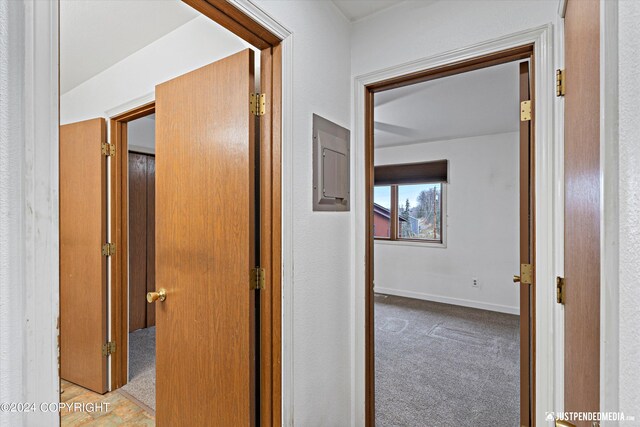 corridor with light colored carpet