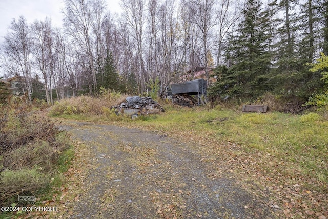 4480 E 138th Ave, Anchorage, AK 99516 - view of road
