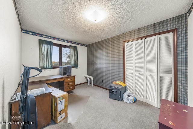 4480 E 138th Ave, Anchorage, AK 99516 - carpeted office with a textured ceiling and baseboards
