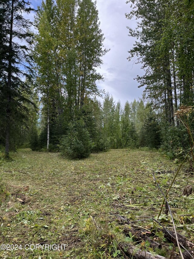 20311 W Deneki Dr, Willow, AK 99688 - photo 6