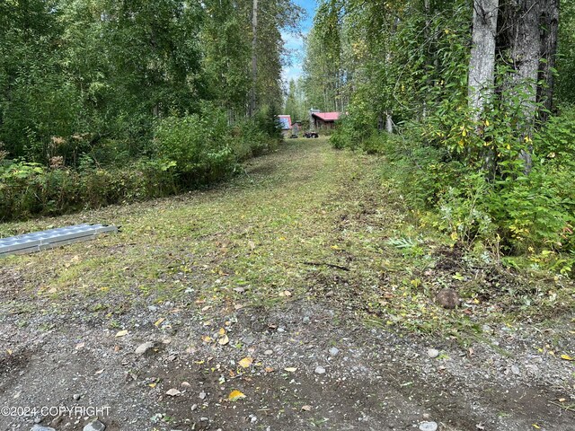 20311 W Deneki Dr, Willow, AK 99688 - photo 8