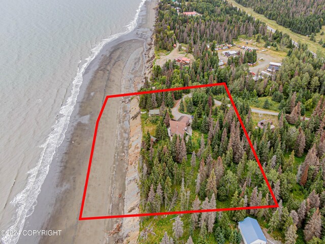 aerial view with a beach view, a view of trees, and a water view