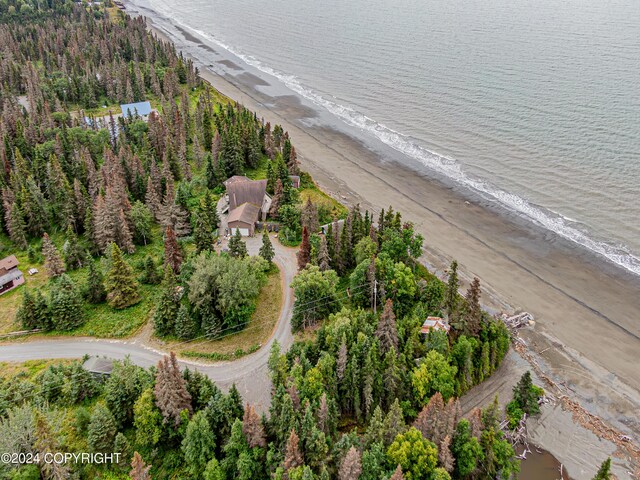 birds eye view of property featuring a view of the beach and a water view