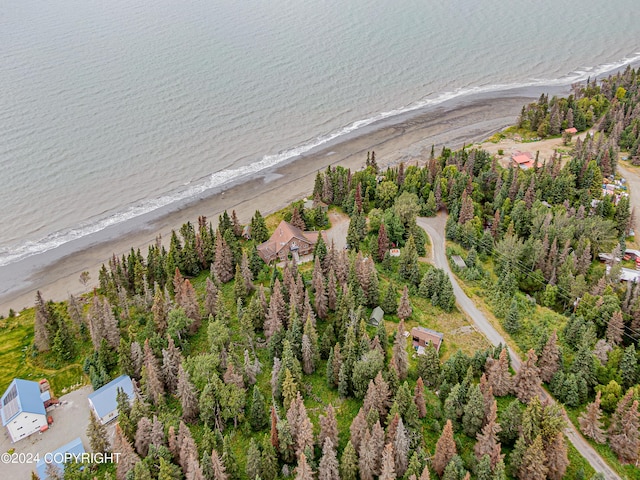 drone / aerial view featuring a view of the beach and a water view