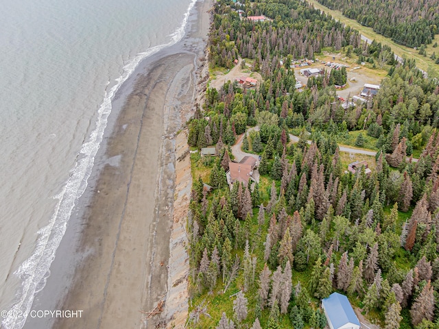 aerial view with a beach view, a wooded view, and a water view