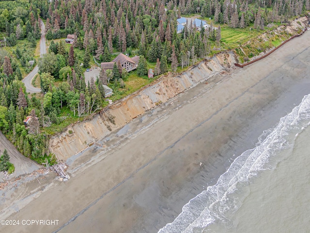 drone / aerial view featuring a water view and a wooded view