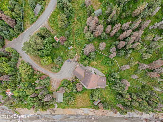 aerial view