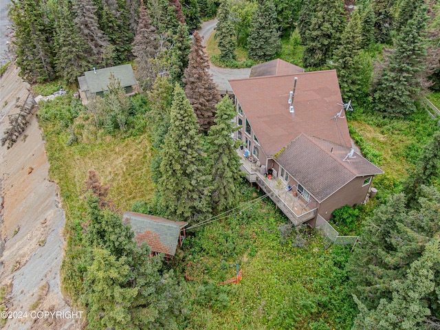 bird's eye view