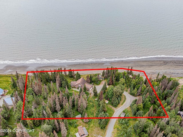 aerial view with a view of the beach and a water view