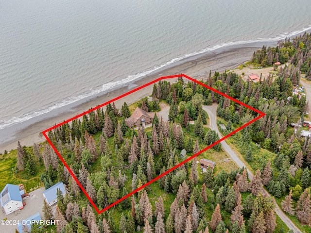 birds eye view of property with a view of the beach and a water view