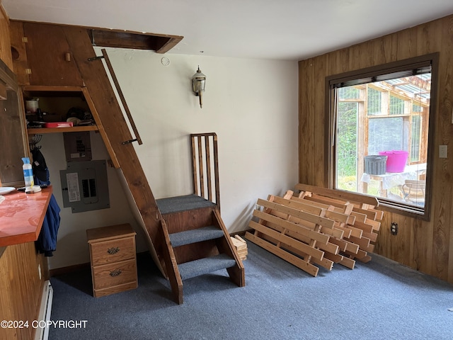 interior space featuring a baseboard radiator, wood walls, and carpet