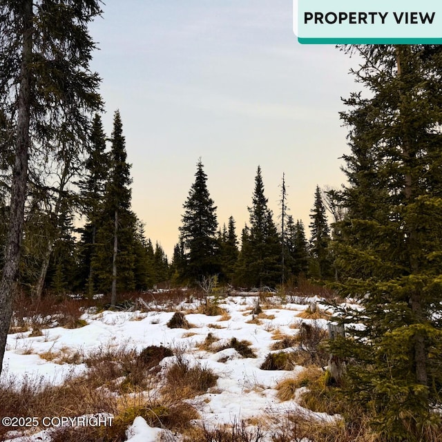 000 Clam Gulch, Clam Gulch, AK 99568 - photo 3