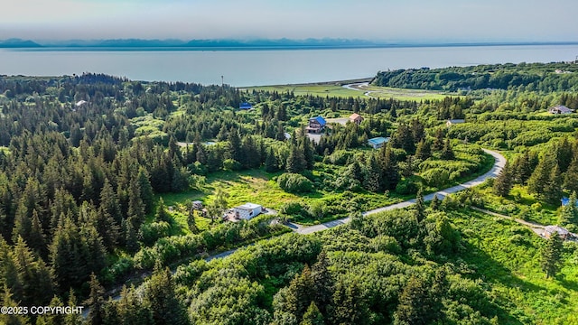 17597 Arcturus Loop, Ninilchik, AK 99639 - aerial overview of property's location featuring a large body of water