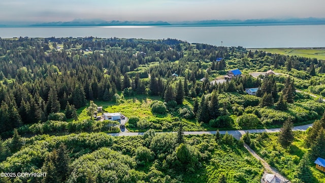 17597 Arcturus Loop, Ninilchik, AK 99639 - aerial view of a large body of water and a heavily wooded area