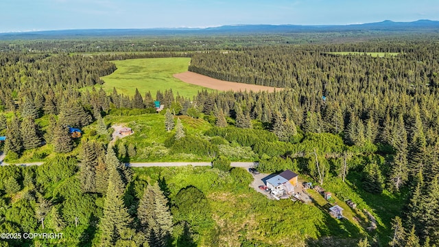 17597 Arcturus Loop, Ninilchik, AK 99639 - bird's eye view of a forest