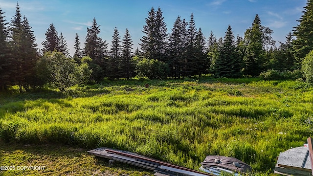 17597 Arcturus Loop, Ninilchik, AK 99639 - view of yard