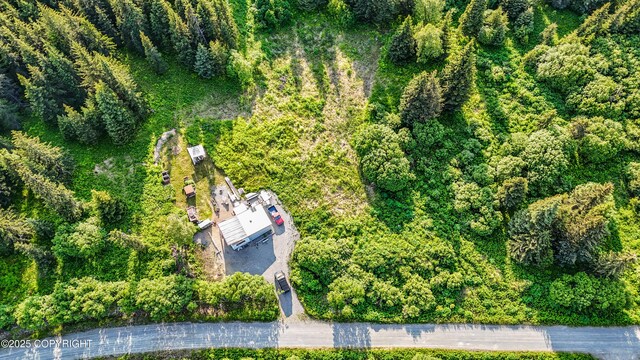 17597 Arcturus Loop, Ninilchik, AK 99639 - drone / aerial view of a heavily wooded area