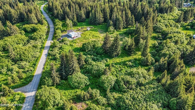 17597 Arcturus Loop, Ninilchik, AK 99639 - aerial overview of property's location with a forest