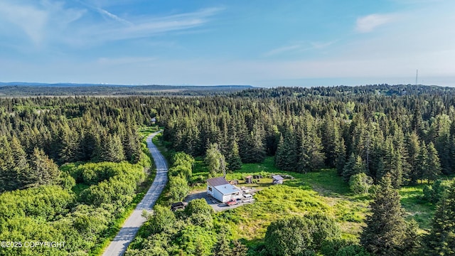 17597 Arcturus Loop, Ninilchik, AK 99639 - aerial view of a forest