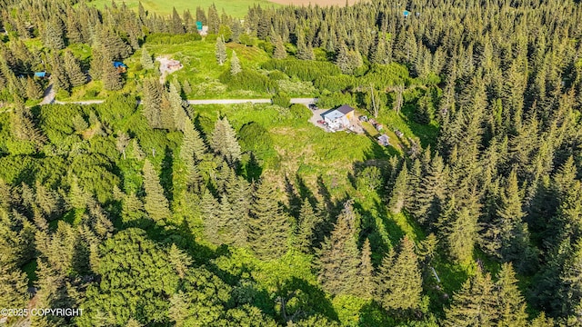 17597 Arcturus Loop, Ninilchik, AK 99639 - aerial overview of property's location