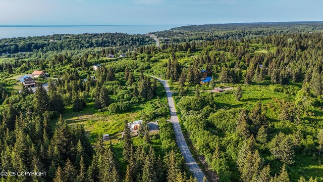17597 Arcturus Loop, Ninilchik, AK 99639 - aerial view of property's location with a forest