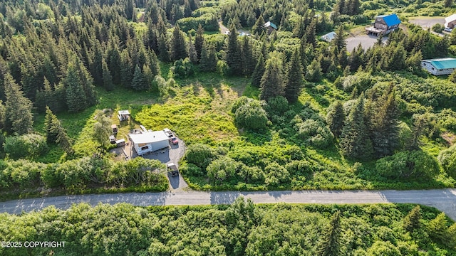17597 Arcturus Loop, Ninilchik, AK 99639 - bird's eye view of a forest