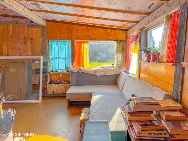 17597 Arcturus Loop, Ninilchik, AK 99639 - living room with wood finished floors and wooden walls