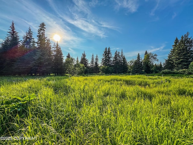 17597 Arcturus Loop, Ninilchik, AK 99639 - view of nature