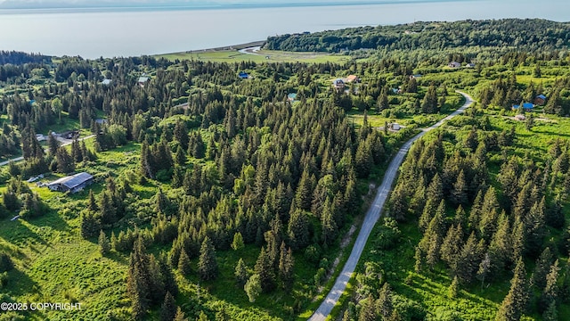 17597 Arcturus Loop, Ninilchik, AK 99639 - aerial overview of property's location with a heavily wooded area