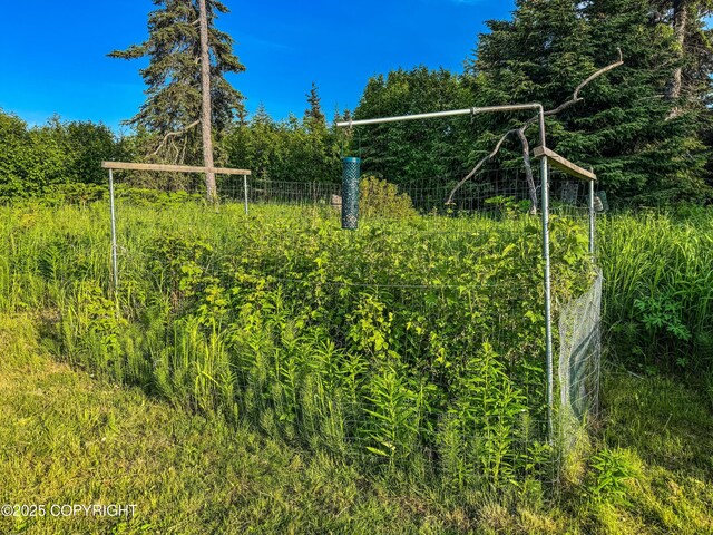 17597 Arcturus Loop, Ninilchik, AK 99639 - view of gate