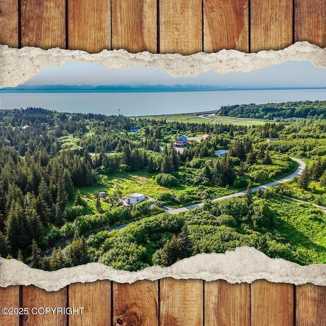 17597 Arcturus Loop, Ninilchik, AK 99639 - aerial view of a heavily wooded area