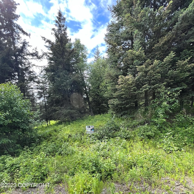 Listing photo 2 for 17515 Arcturus Loop, Ninilchik AK 99639