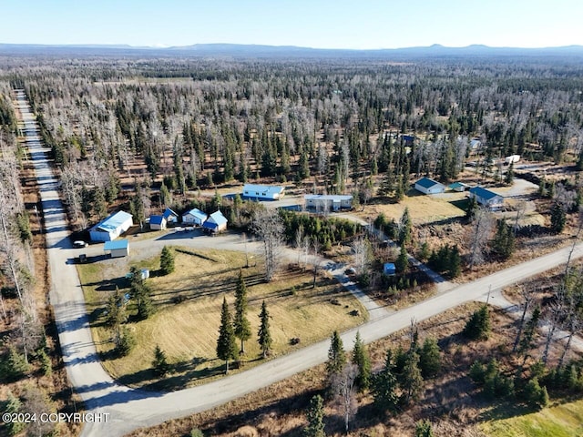 aerial view with a mountain view