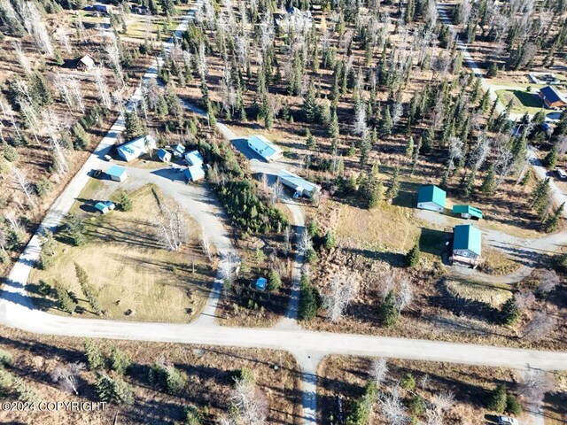 65449 Lingonberry Rd, Ninilchik, AK 99639 - birds eye view of property