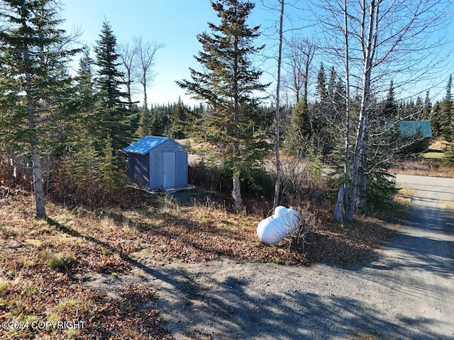 view of yard with a storage unit