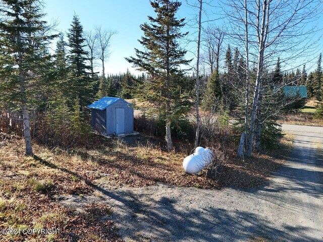 65449 Lingonberry Rd, Ninilchik, AK 99639 - view of yard featuring an outdoor structure and a storage shed